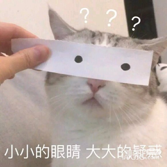 懂了微信聊天表情包