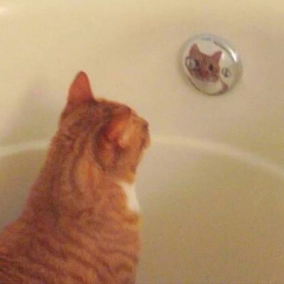 甜蜜指数爆棚系列情侣头像合集（二）