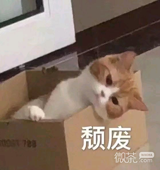 懂了微信聊天表情包