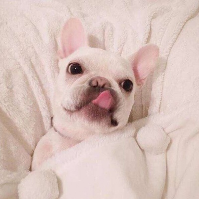 甜蜜指数爆棚系列情侣头像合集（二）