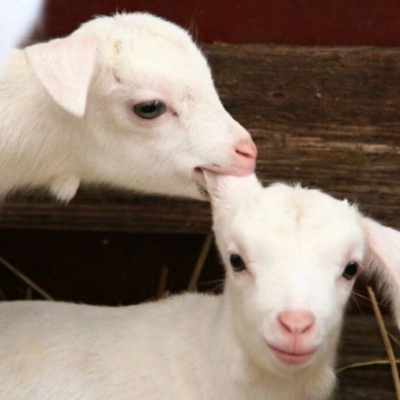 沙雕成熟暗黑手控系列男头