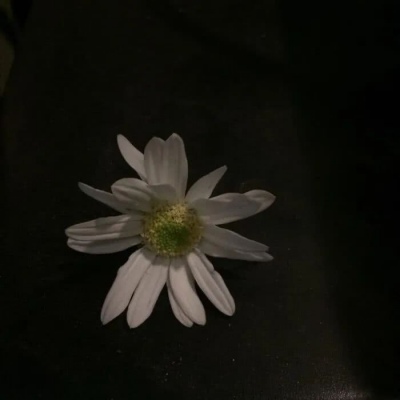 微信黑色治愈系背景图