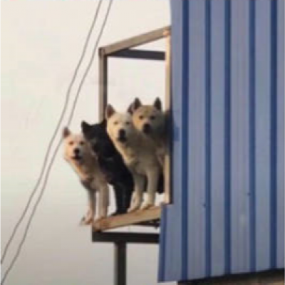 微信搞怪无厘头可笑头像