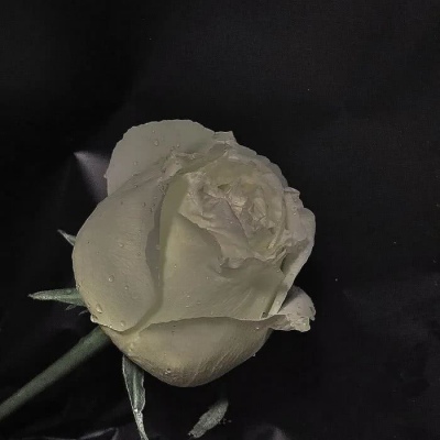 微信黑色治愈系背景图