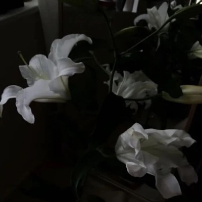 微信黑色治愈系背景图