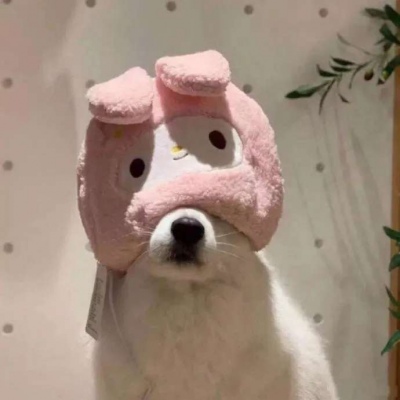 可爱玩偶搞怪头像