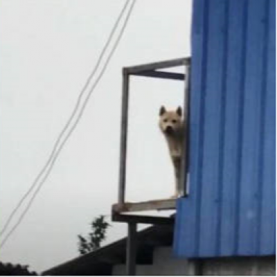 微信搞怪无厘头可笑头像