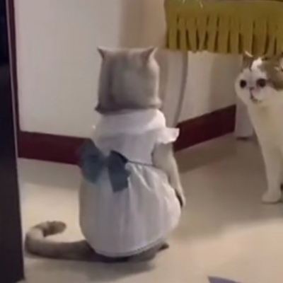 甜蜜指数爆棚系列情侣头像合集（二）