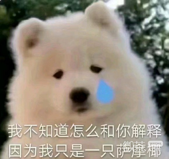 懂了微信聊天表情包