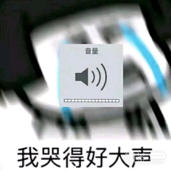 懂了微信聊天表情包