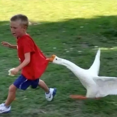 微信搞怪无厘头可笑头像