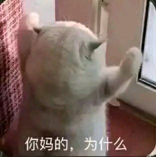 懂了微信聊天表情包
