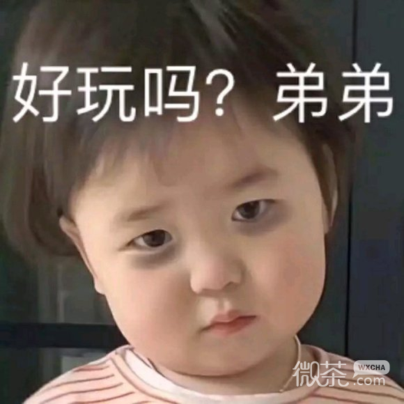 懂了微信聊天表情包