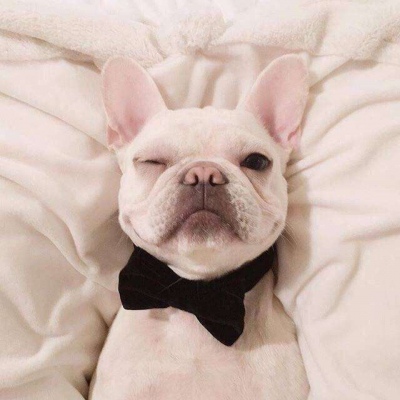 甜蜜指数爆棚系列情侣头像合集（二）