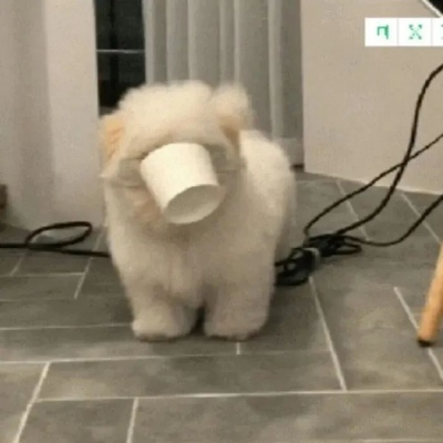 微信搞怪无厘头可笑头像