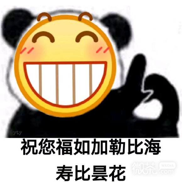 懂了微信聊天表情包