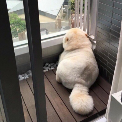 超猛的猛男头像