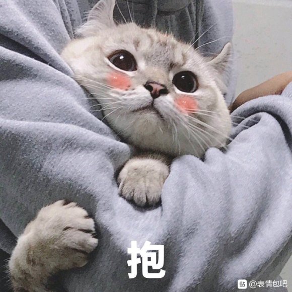 微信可爱聊天表情包