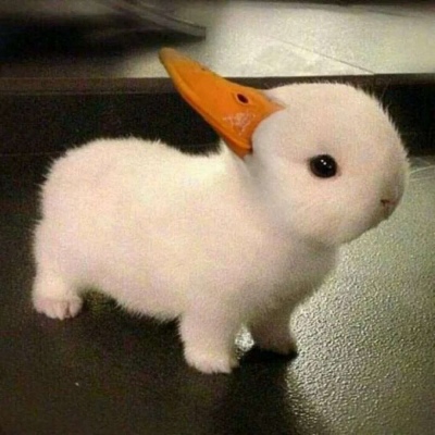 超猛的猛男头像