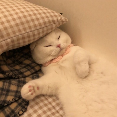 超猛的猛男头像