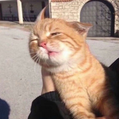 可爱搞笑沙雕动物头像