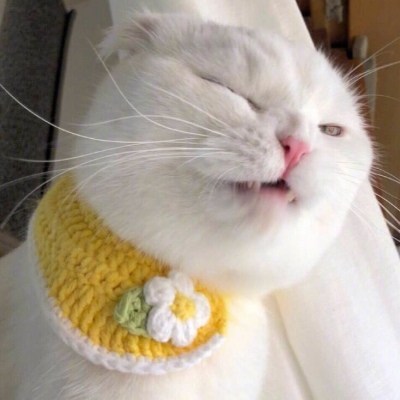 超猛的猛男头像