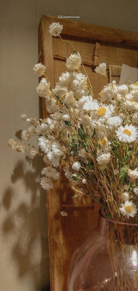 欧式风花朵聊天背景图
