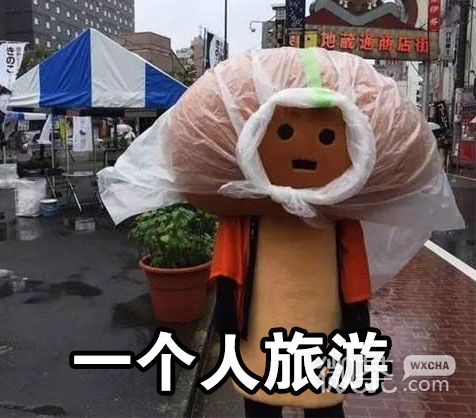 悲催玩偶一个人生活系列表情包