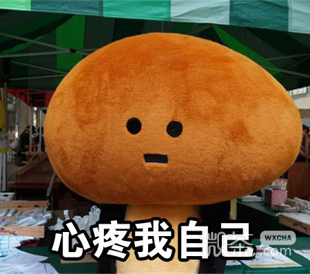 悲催玩偶一个人生活系列表情包