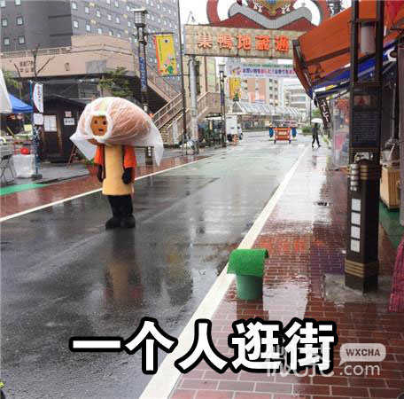悲催玩偶一个人生活系列表情包