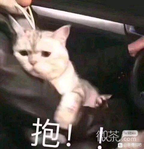 微信近期斗图恶搞表情包2020/5/21（二）