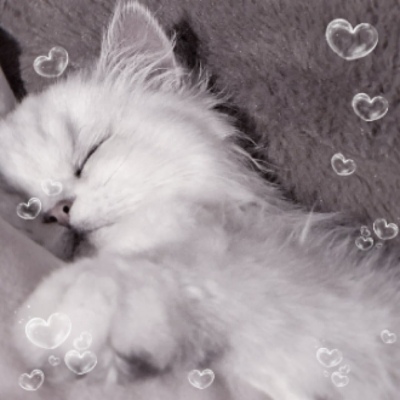 超猛的猛男头像