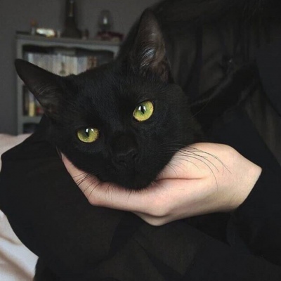 超猛的猛男头像