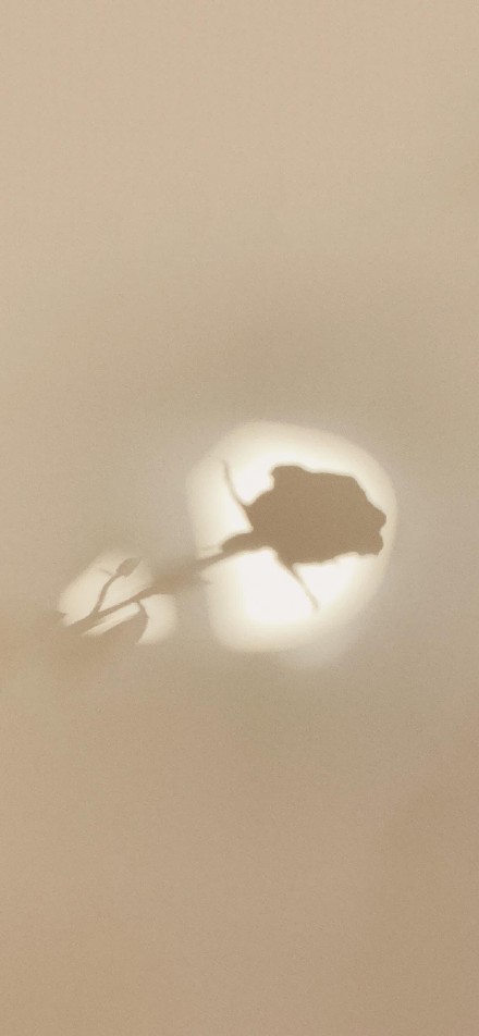 唯美高清人物风景聊天壁纸