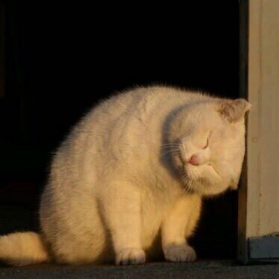 超猛的猛男头像