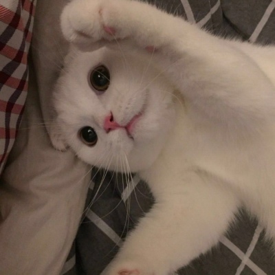 超猛的猛男头像