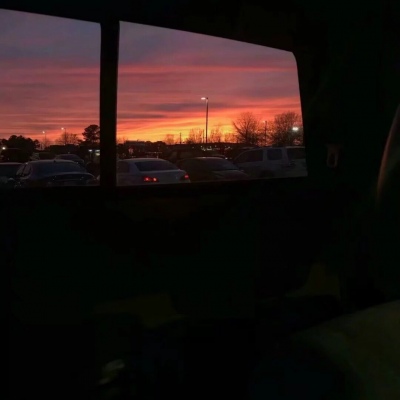 唯美花朵家具静物ins风朋友圈配图