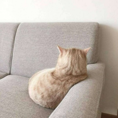 超猛的猛男头像