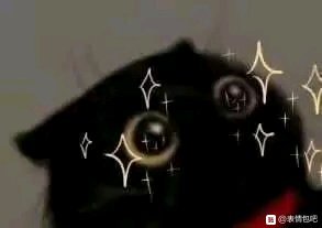 微信近期斗图恶搞表情2020/5/22（二）