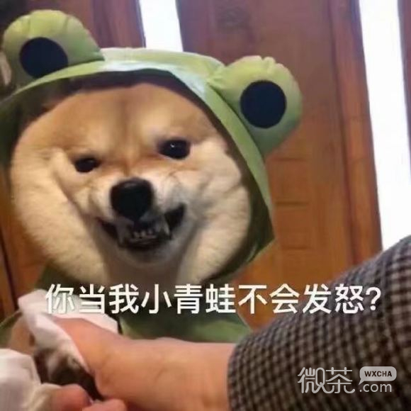 微信近期斗图恶搞表情包2020/5/23（二）
