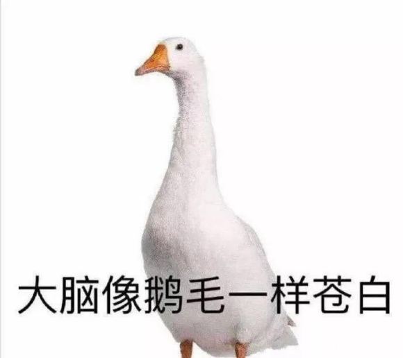 不咕微信傻屌聊天表情包