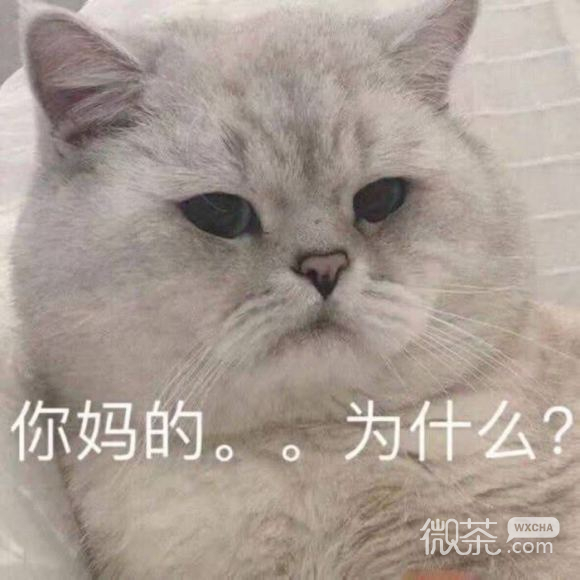 微信近期斗图恶搞表情包2020/5/23（二）