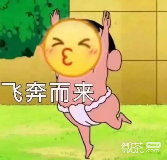 微信近期斗图恶搞表情包2020/5/23（二）
