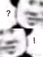 微信近期斗图恶搞表情2020/5/22（二）