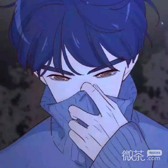微信阳光成熟暖男二次元男生头像