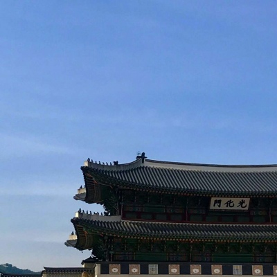 简约清新静物背景图