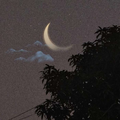 静物ins风格背景图