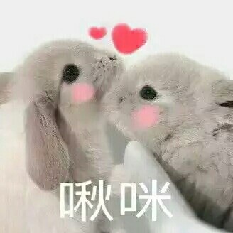 啾咪微信表情包