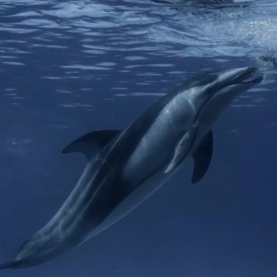 唯美蓝色风景线微信背景图