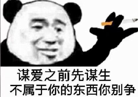 熊猫头抽烟微信聊天表情包